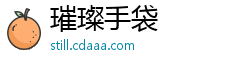 璀璨手袋
